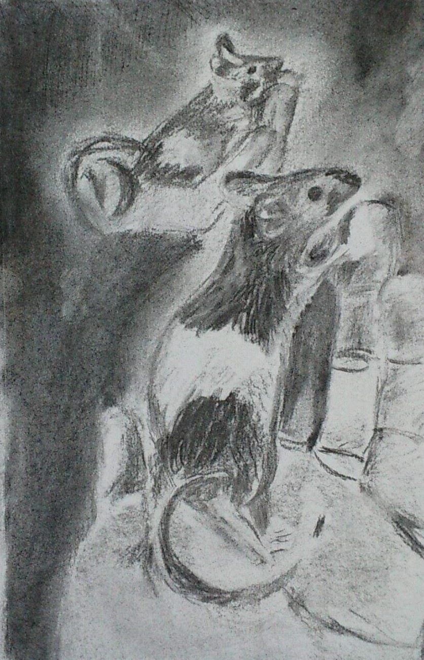 Image description